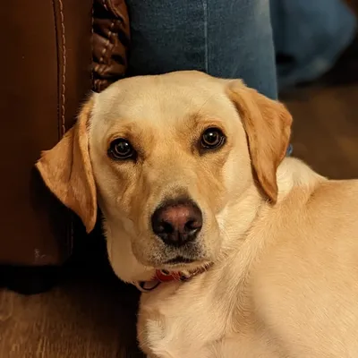 Maggie