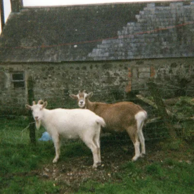 Family photo
